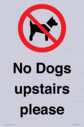 no-dogs-upstairs-please-~